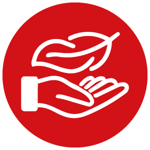 icon feather and hand